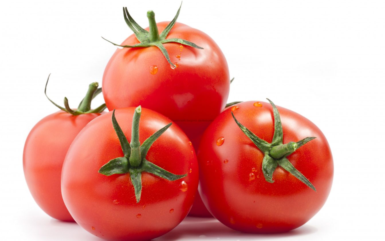 Pomidor